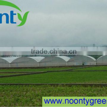 Multi Span Agricultural Greenhouses