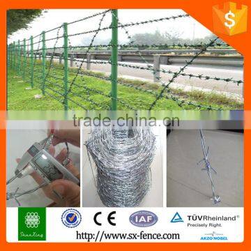 Cheap electrical barbed wire for sale