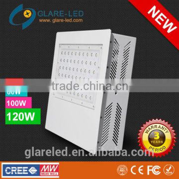 120W CE&RoHS IP65 LED Canopy Light