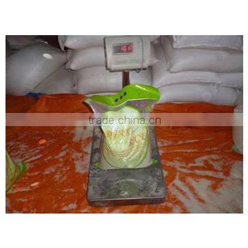 SUSHI RICE (vilaconicexport@gmail.com, or Website: Vinafoodtnt58) SUSHI RICE photo-2