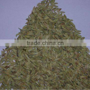 Apex Supplies Quality Foeniculum Vulgare Fennel / Foeniculum Vulgare / Fennel Seeds / Saunf photo-4