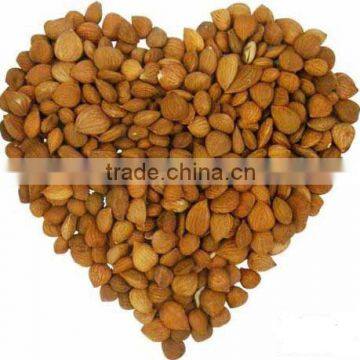 HPS Bitter Apricot Kernels / Sweet Almond photo-3