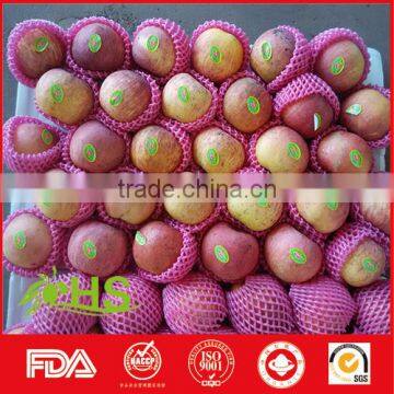 Fresh Fuji Apple Fruit for Sale From China Wholesale Distributors photo-2