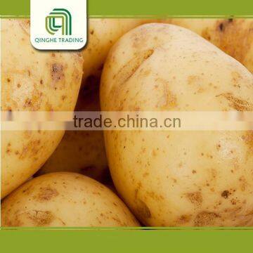 good quality potato bag 10kg