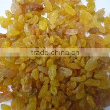 2015 Crop Golden Raisin for Asia Market