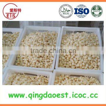 New Crop Garlic in Brine From Chinese Factory photo-6