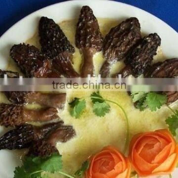 Dried Wild Morchella Conica photo-2