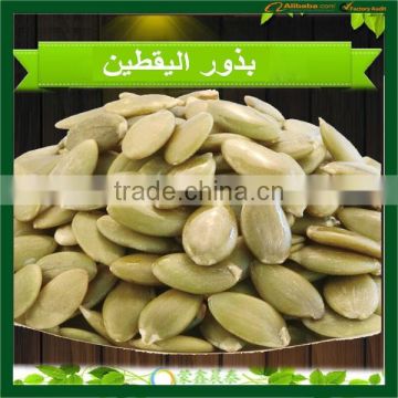 pumpkin seed kernels