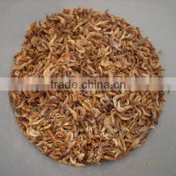 dried shrimp fish food reptiles food