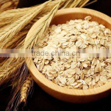 Oat Oil Has a Good Effect of Allergic Skin