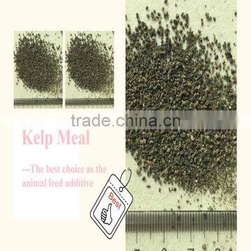 Natural Feed Grade Kelp Meal