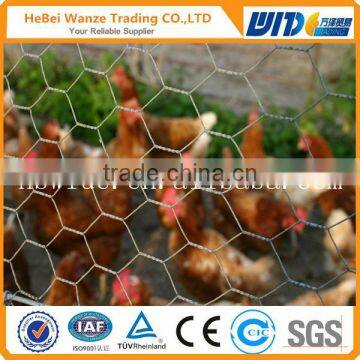 High quality cheap hexagonal chicken wire mesh,best price hexagonal chicken wire mesh(CHINA SUPPLIER)