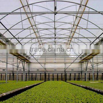 Plastic Sheet for Commercial Greenhouse photo-3