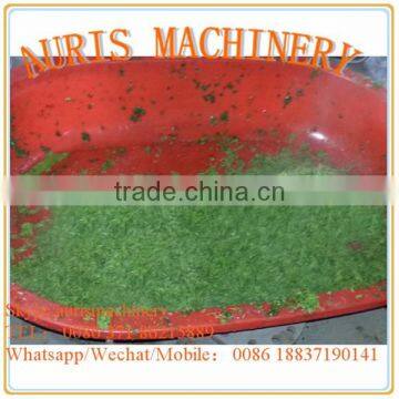 Stainless Steel Single Screw Fruit Squeezer Machine With a Best Price photo-2