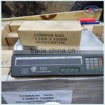 Cheap Price Polishing Common Nails/Common Wire Nails Made in China photo-2