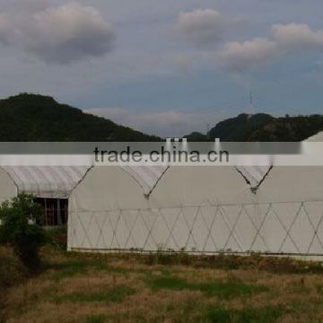 Multispan Black out greenhouse from mushroom