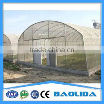 Cheap Agricultural Single Tree Greenhouse photo-5