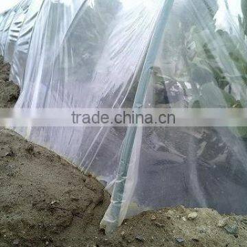 Garden Used Agricultural Greenhouse Tunnel Film on Sale
