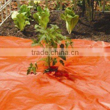 red mulch film for tomato , strawberry