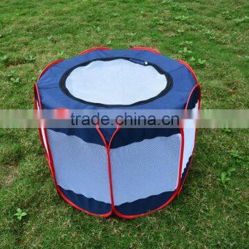 New Hot Sale Folding Cat Toy/ Dog Play Toy photo-4