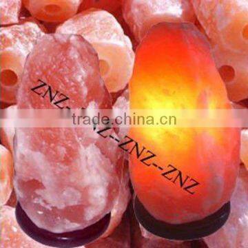 Carved Himalayan Crystal Natural Rock Salt Lamps