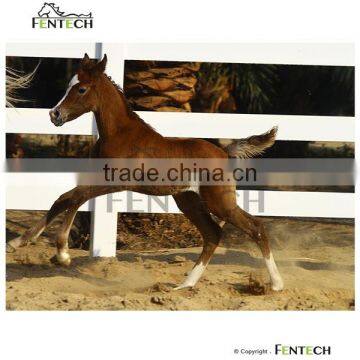 Cheap Field Fence,Cattle Rail Fence photo-3