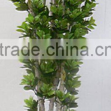 indoor Home garden decorative 220cm Height make artificial green live magnolia bonsai tree EXLYPZ06 0513