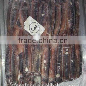 Fish Viet Nam of Illex Squid photo-2