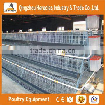 Heracles Company Price A Type Layer Chicken Cage-trade Assurance Chicken Breeding Cage photo-2