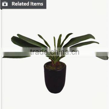 Artificial Bonsai Leaves Green Artificial Bamboo Tree Tall Phyllostacgys Edulis Bamboo photo-4