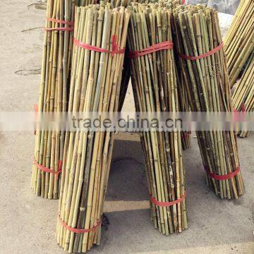 Excellent Quality Factory Price Garden Bamboo Canes for Sale