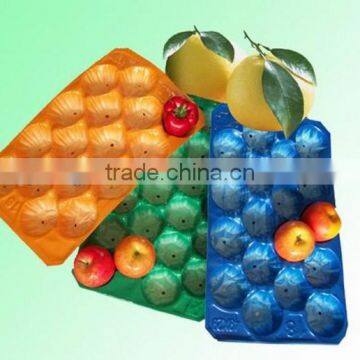 China Supply Cheap Food Grade Fruit Use and Tray Type Wholesale Plastic Serving Trays photo-6