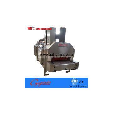 seafood iqf tunnel machine