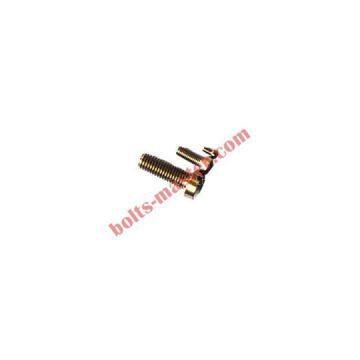 Titanium Slotted Flat Head Screw