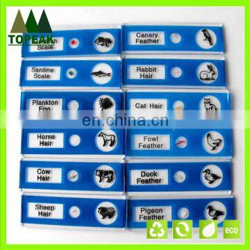 Animal type serial plastic Microscope prepared Slides