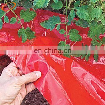 LDPE plastic mulch film rolls farming use