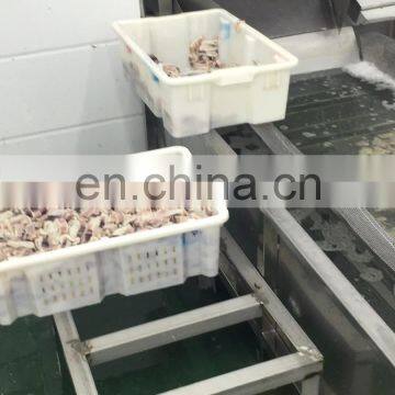 Industrial vegetable and fruit washing machine for sale