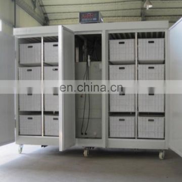 Hot selling Bean sprout growing machine soybean sprouter machine sprout