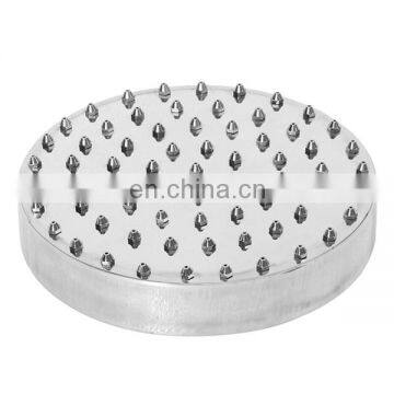 Stainless Steel Swimming Pool Or Spa Shower Head