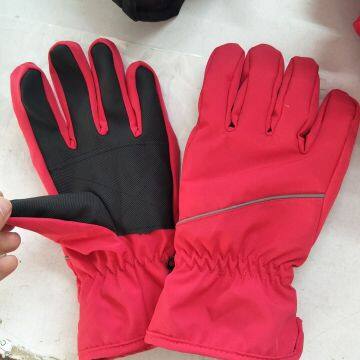 Women Gloves ,lady Gloves , Outdoor Gloves , Winter Warm Gloves , Waterproof Gloves