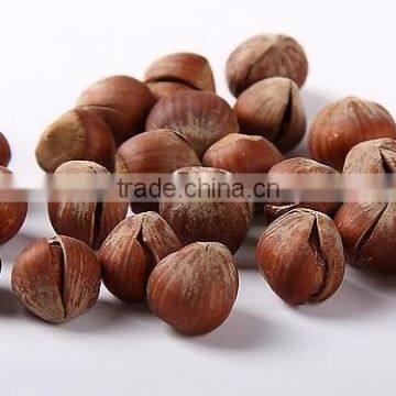 Wholesale hazelnut