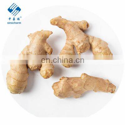 2020 Hot Sale Fresh Vegetable Fresh Ginger