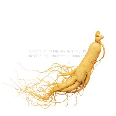 Panax Ginseng Extract Ginsenosides 80%, Ginseng root Extract, Ginseng leaf Extract, Notoginseng Extract, Yongyuan Bio