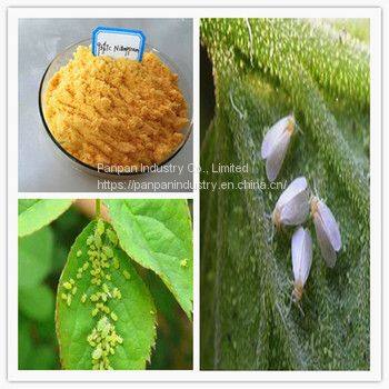 China Manufacture Agrochemical Hot Sale Pesticide Nitenpyram 95%tc Insecticides for Pest Control photo-2