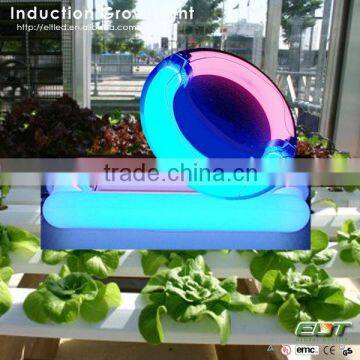 grow lights item type induction lamps and led grow light full spectrum