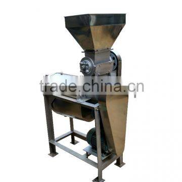 ginger juice extractor