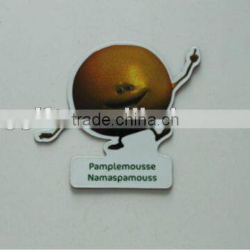 2012 Fruit fridge magnet