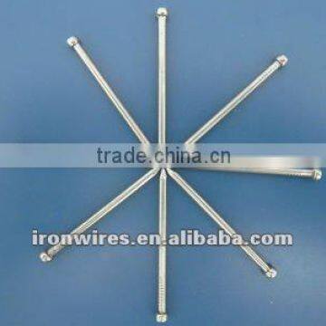 Directly factory wire nail manufacture in china