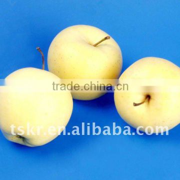 hot sale fresh golden delicious apple/chinese best yello apple