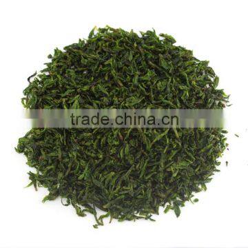 Organic Anti-aging Tea High Mountain Sweet Kuding Cha China Famous Herbal Tea Small Leaf Kuding Green Tea photo-2